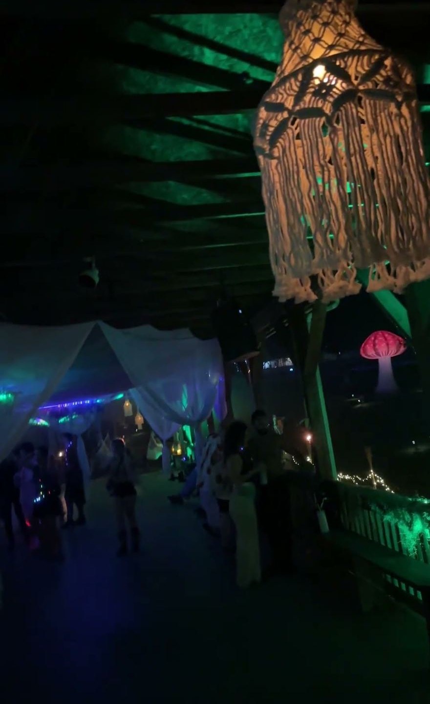 Video still: Cosmic Jungle, hammock